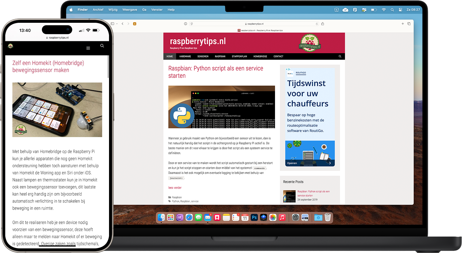 raspberrytips
